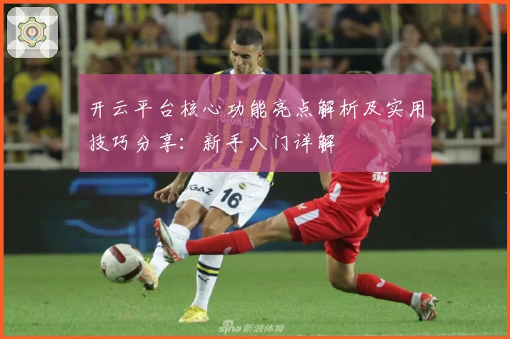 开云平台核心功能亮点解析及实用技巧分享:新手入门详解